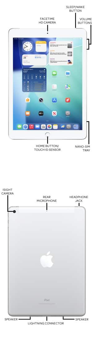 Device Diagram