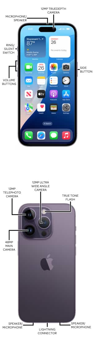 Device Diagram
