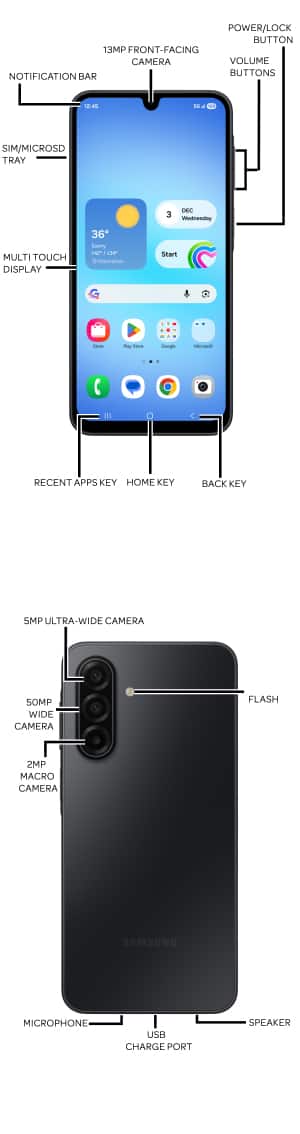 Device Diagram