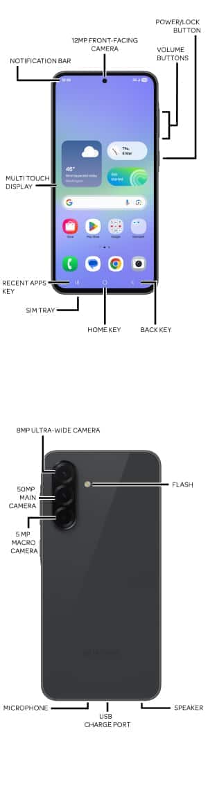Device Diagram