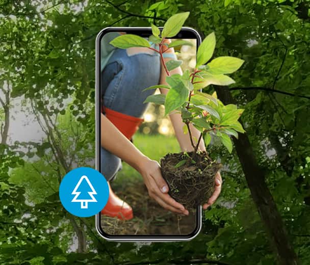 A tree for every trade-in