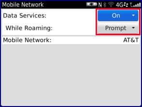 how to turn off data roaming on blackberry 9900